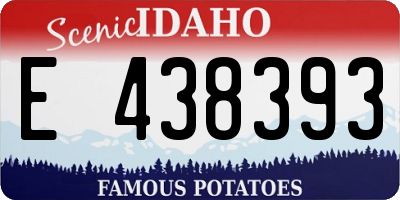ID license plate E438393