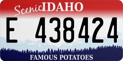ID license plate E438424