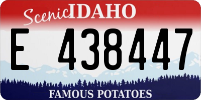 ID license plate E438447