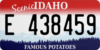 ID license plate E438459