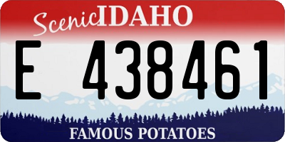 ID license plate E438461