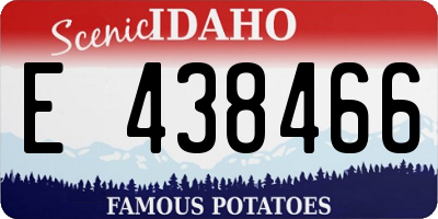 ID license plate E438466