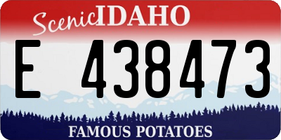 ID license plate E438473