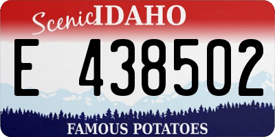 ID license plate E438502