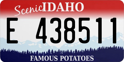 ID license plate E438511