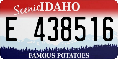 ID license plate E438516