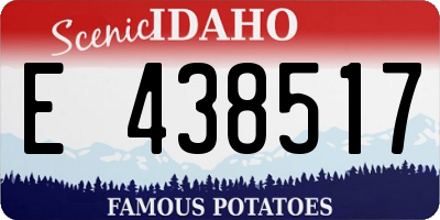 ID license plate E438517