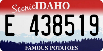 ID license plate E438519