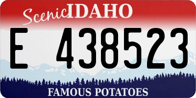 ID license plate E438523