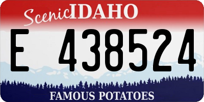 ID license plate E438524
