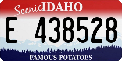 ID license plate E438528