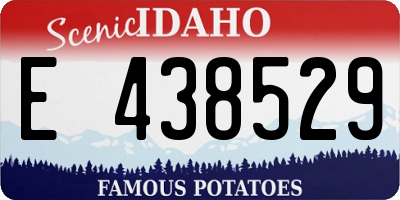 ID license plate E438529