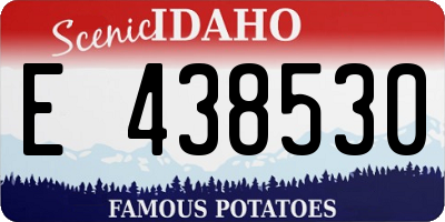 ID license plate E438530
