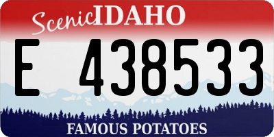ID license plate E438533