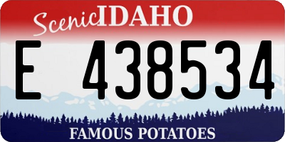 ID license plate E438534