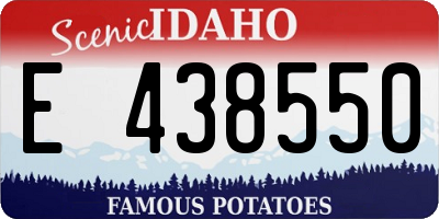 ID license plate E438550