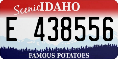 ID license plate E438556