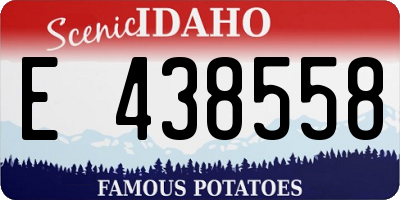 ID license plate E438558