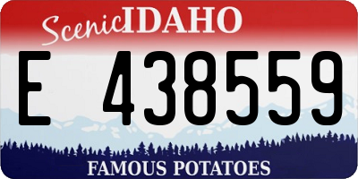 ID license plate E438559