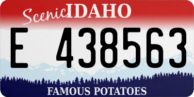 ID license plate E438563