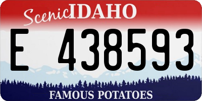 ID license plate E438593