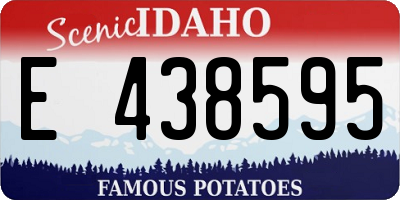 ID license plate E438595