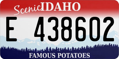 ID license plate E438602