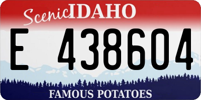 ID license plate E438604
