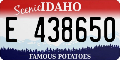 ID license plate E438650