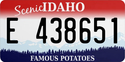 ID license plate E438651