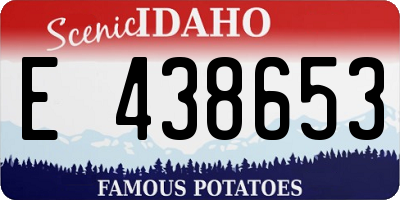 ID license plate E438653