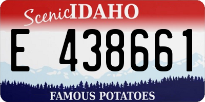 ID license plate E438661