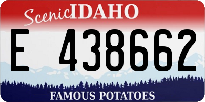 ID license plate E438662