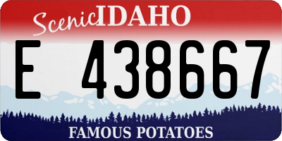 ID license plate E438667