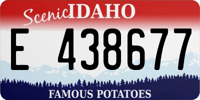 ID license plate E438677