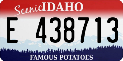 ID license plate E438713