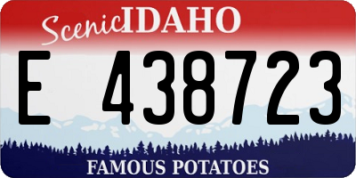 ID license plate E438723