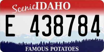 ID license plate E438784