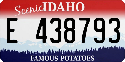 ID license plate E438793