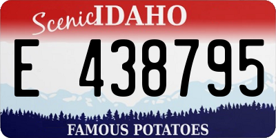 ID license plate E438795