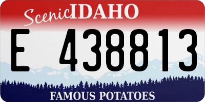 ID license plate E438813