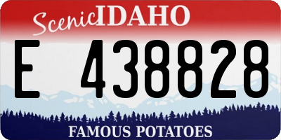 ID license plate E438828