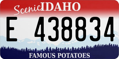 ID license plate E438834