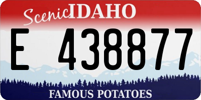 ID license plate E438877
