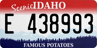 ID license plate E438993