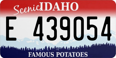 ID license plate E439054