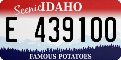 ID license plate E439100