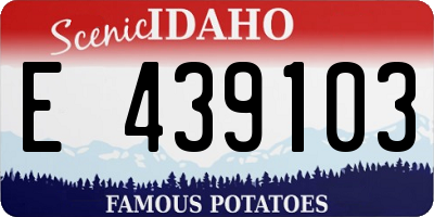 ID license plate E439103