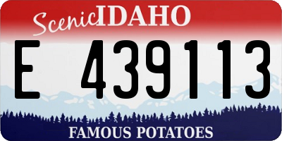 ID license plate E439113