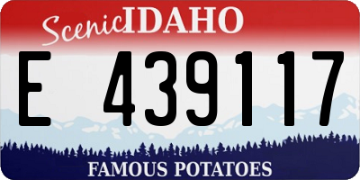 ID license plate E439117